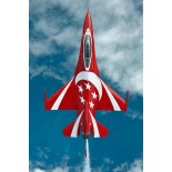 JTM F-16 1:9 scale (Singapore Black Knights)
